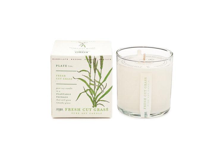 Plant The Box Candle – Fresh Cut Grass - Handworks Nouveau Paperie