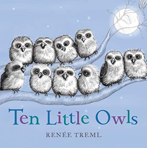 Ten Little Owls - Handworks Nouveau Paperie